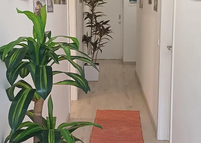 Séjour chez l'habitant Holidays