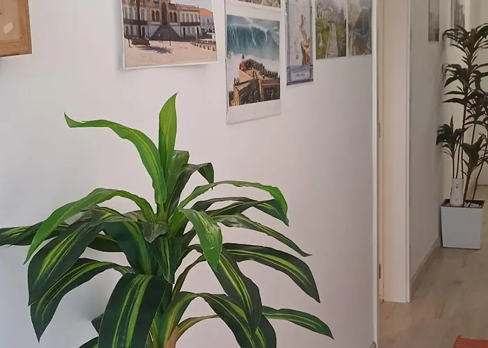 Séjour chez l'habitant Holidays