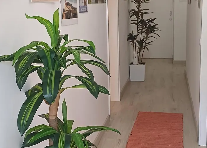 Holidays * Назаре