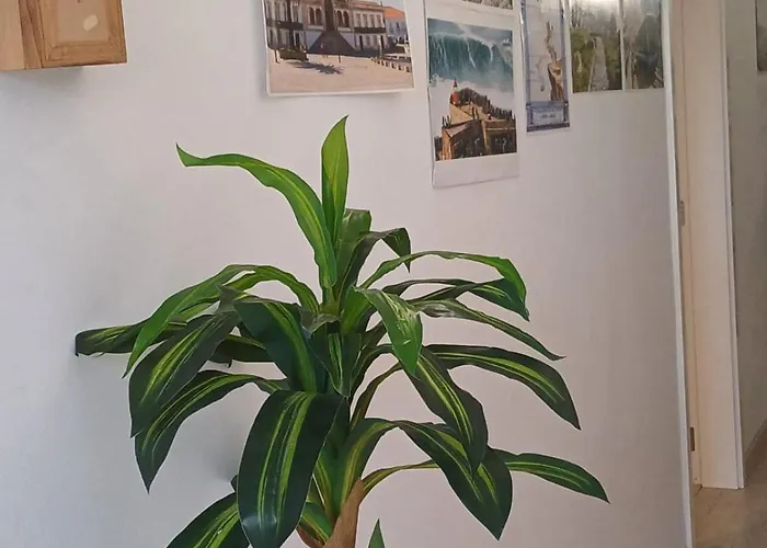 Holidays 홈스테이