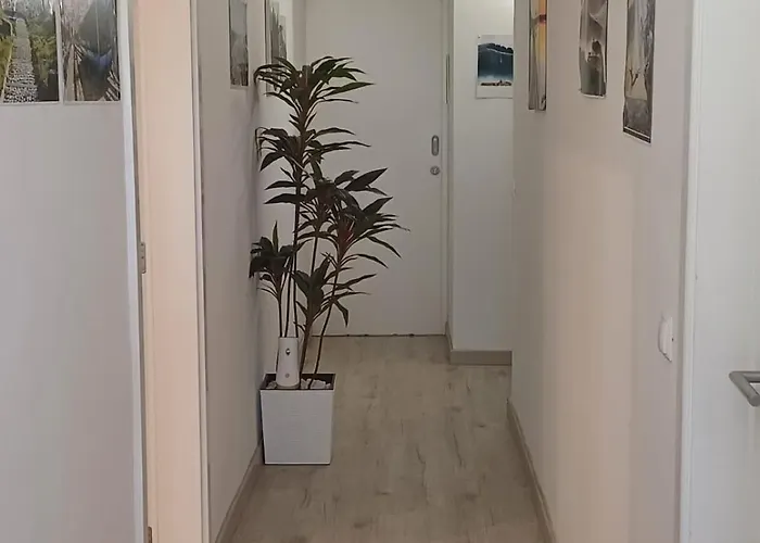 Проживание в семье Holidays *